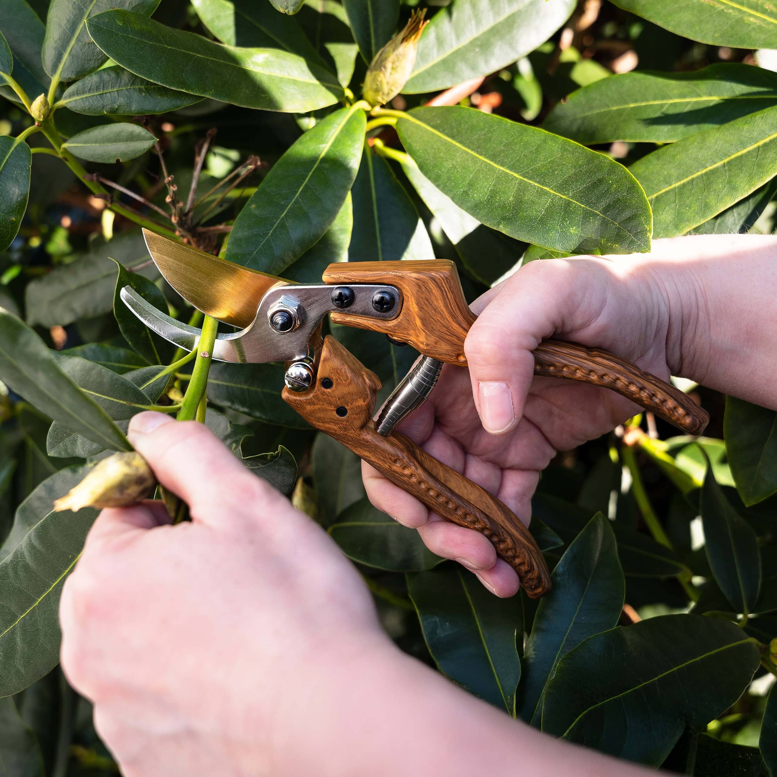 Premium Gartenschere